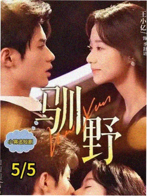 导演风格分析资讯